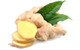 Ginger