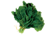 Spinach